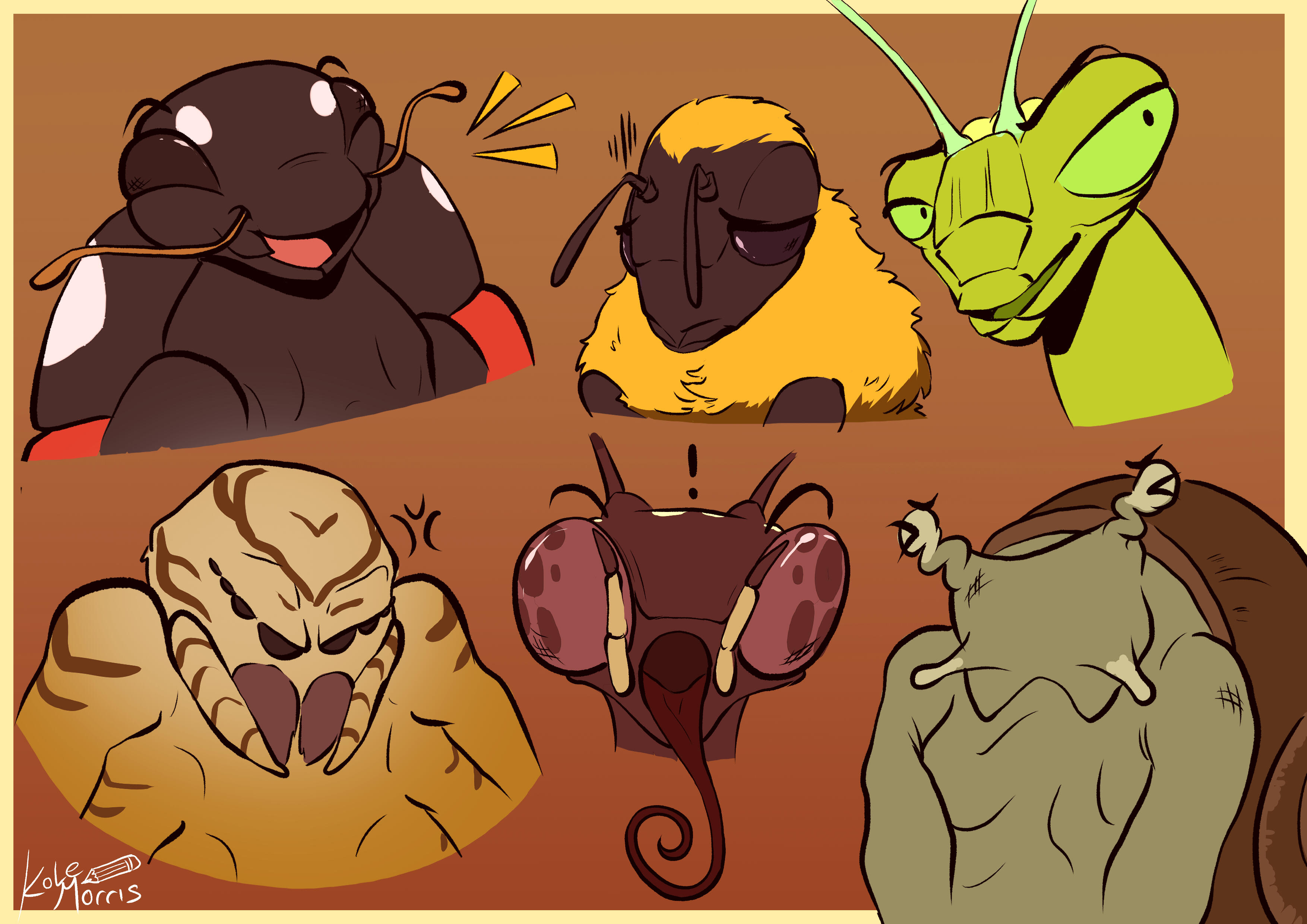Bug expressions